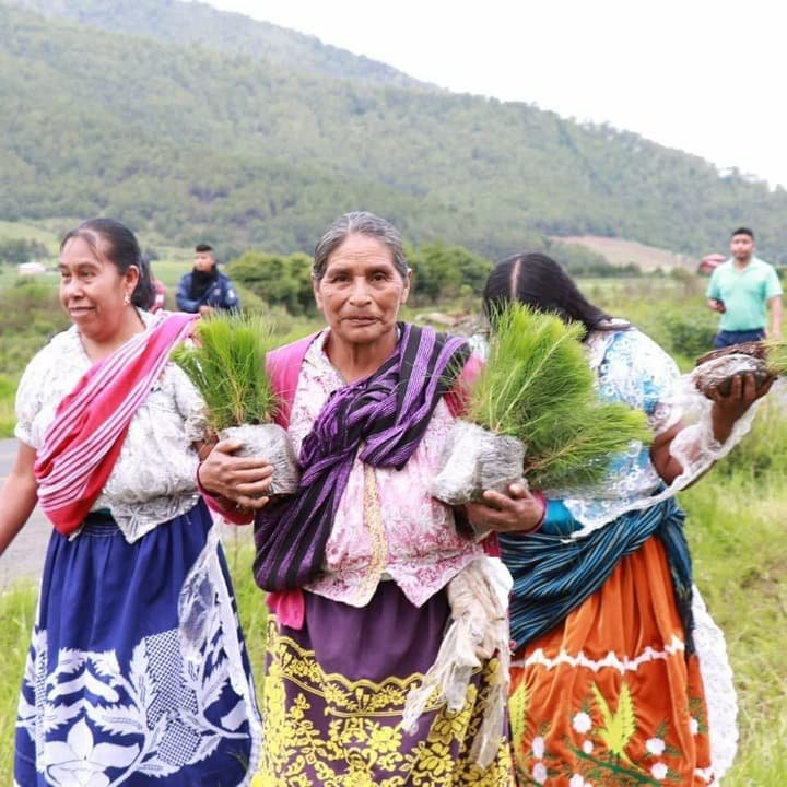 Perosnas de comunidades indígenas