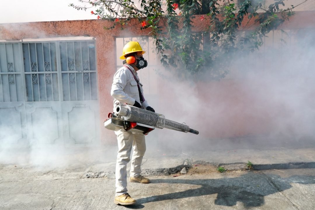 combate al dengue michoacán