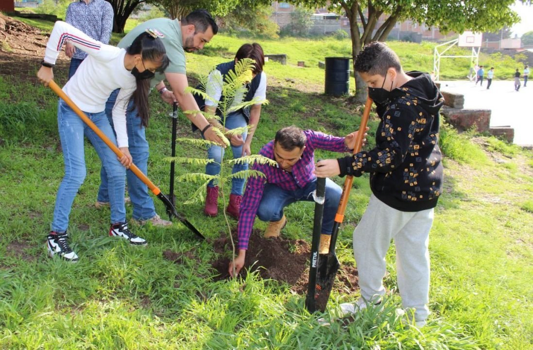 Reforestan espacios de Morelia