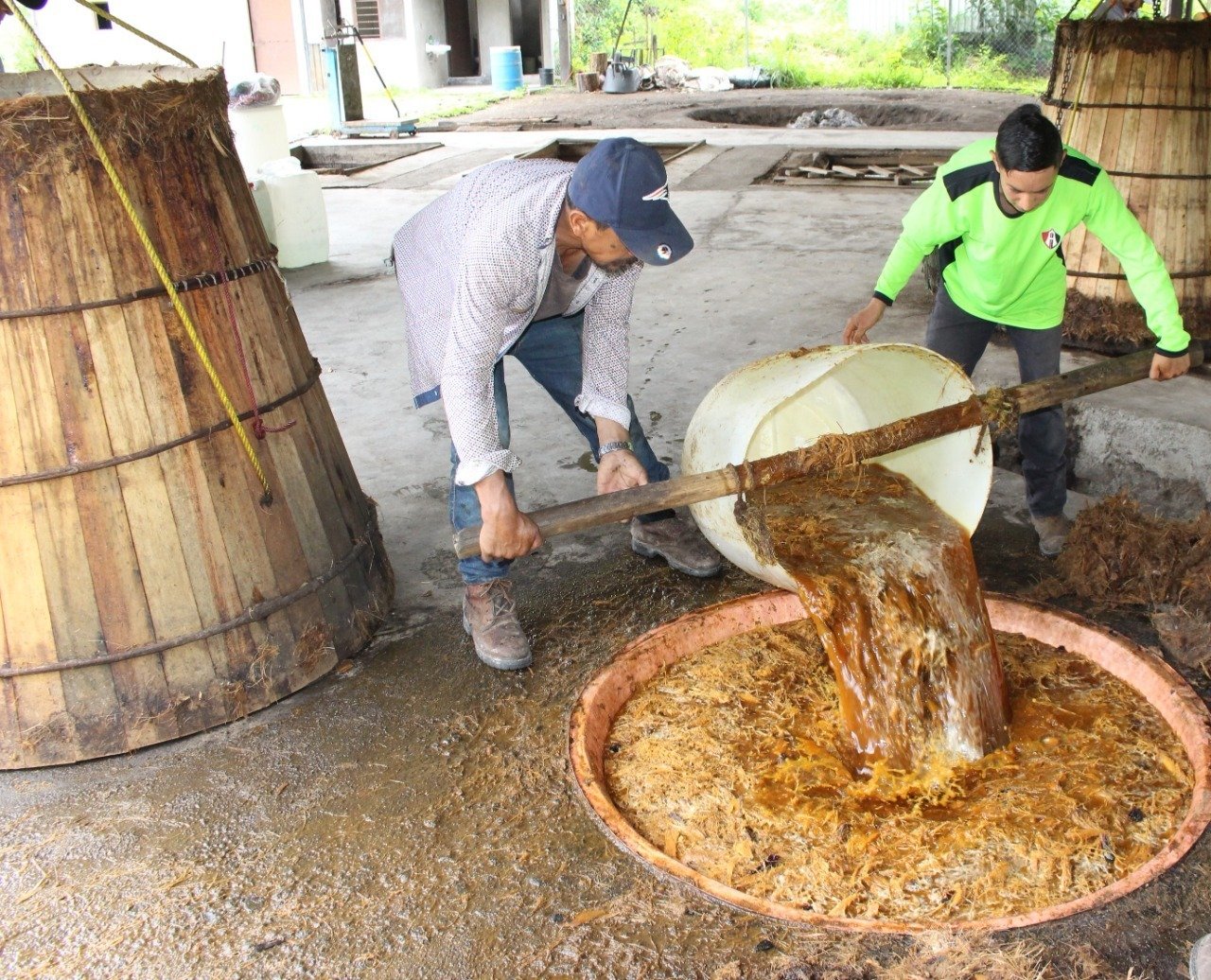 SADERMA identifica vocaciones para incrementar la especialización en las actividades productivas en las tenencias de Morelia.