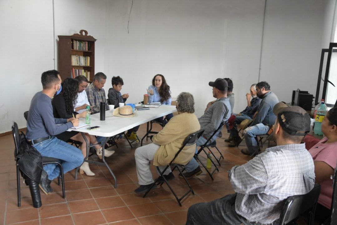 Promover las actividades productivas de la tenencia, el objetivo.