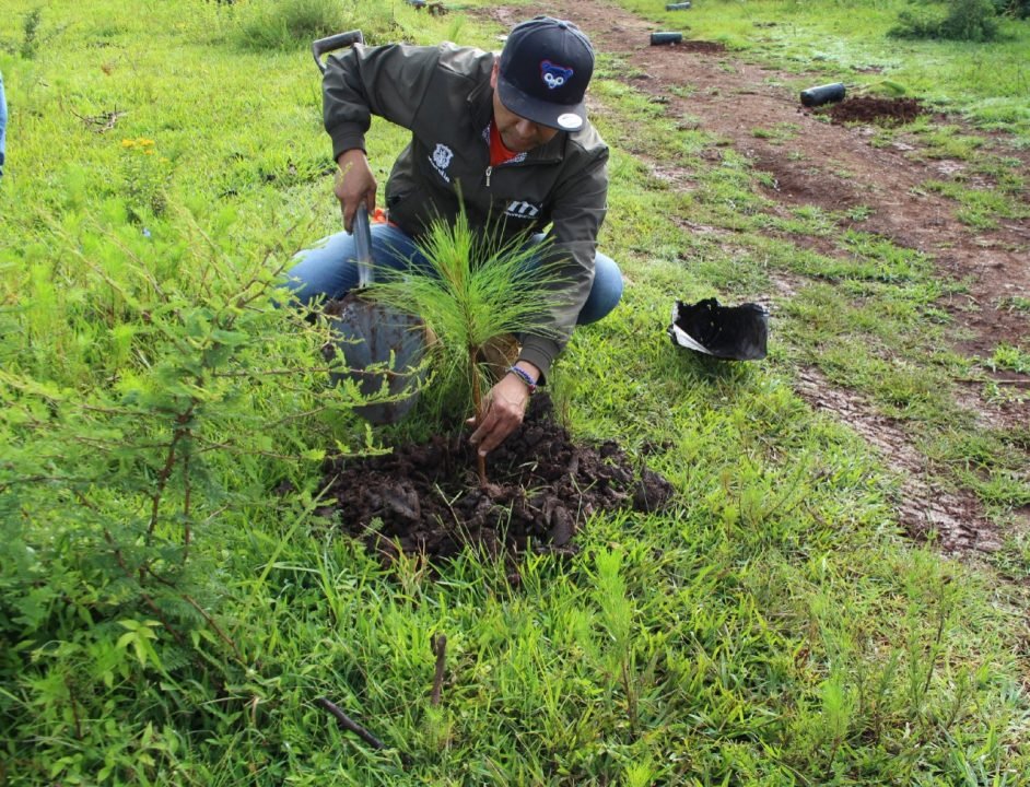 Una realidad el nuevo bosque de la comunidad de San José Coapa