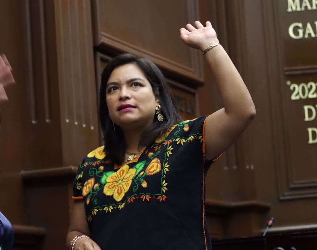 Diputada Erendira Isauro