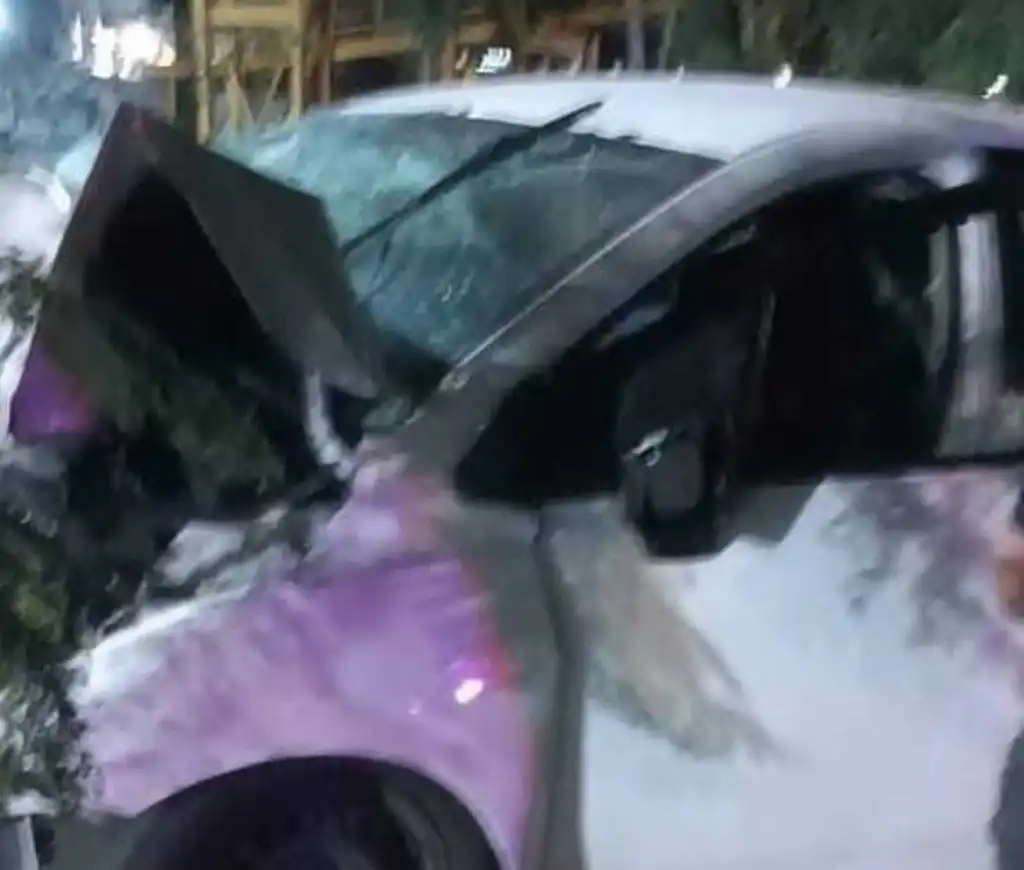 En Morelia, un hombre murió al chocar contra un árbol