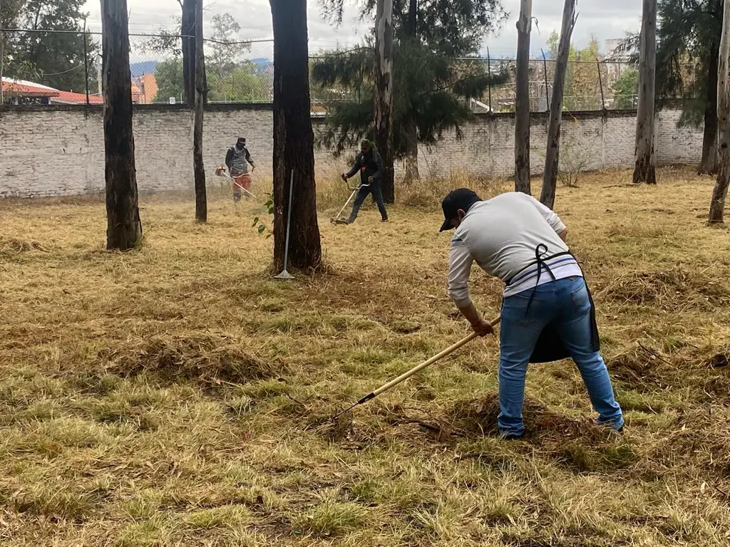 Brigadas municipales atienden la poda de maleza, alumbrado y dragado en colonias morelianas