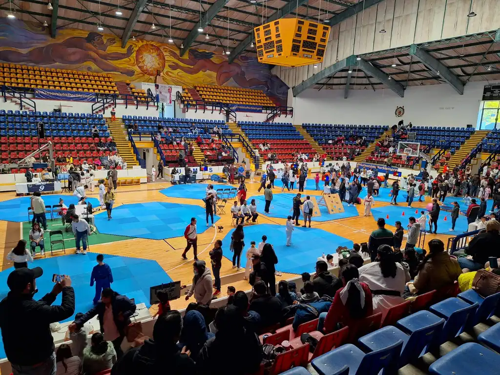 DIF Michoacán Residents Shine in State Judo Tournament 2024 Seventeen