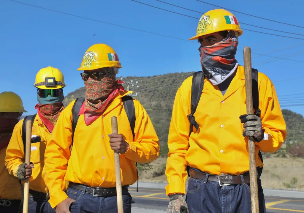 Bajo control los incendios forestales