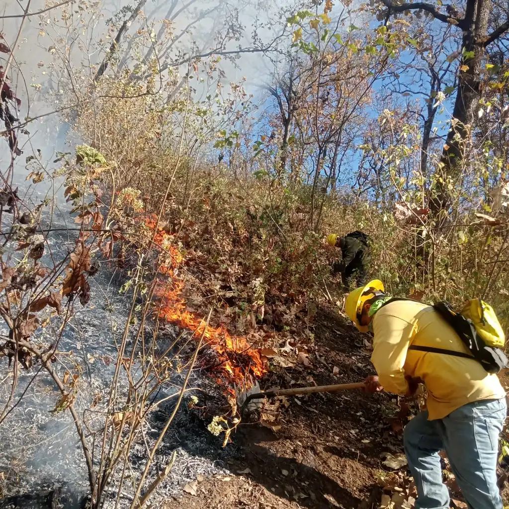 Brigadistas trabajan contra un nuevo incendio forestal en cerro del Quinceo