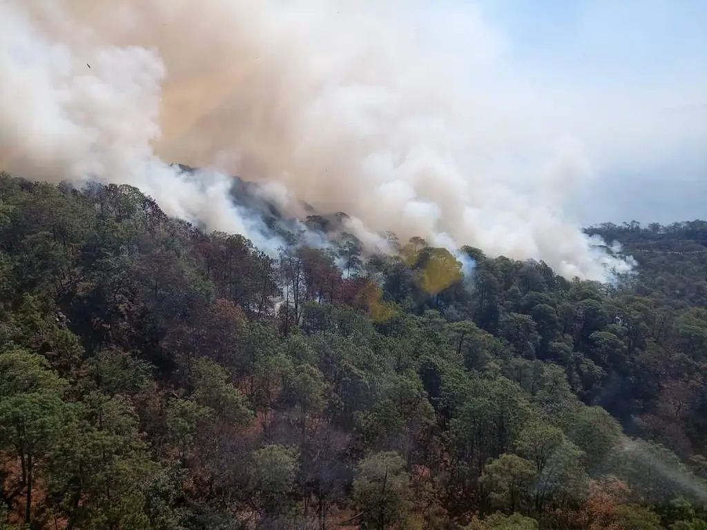 Gobierno moreliano emite recomendaciones para evitar incendios forestales