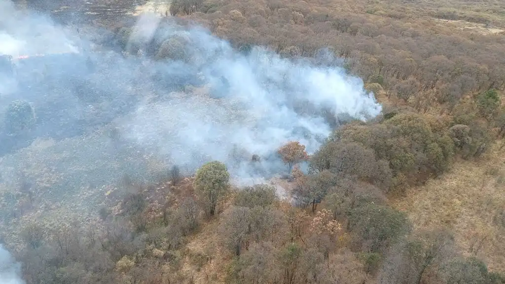 Por tierra y aire combaten incendio forestal en el cerro del Águila