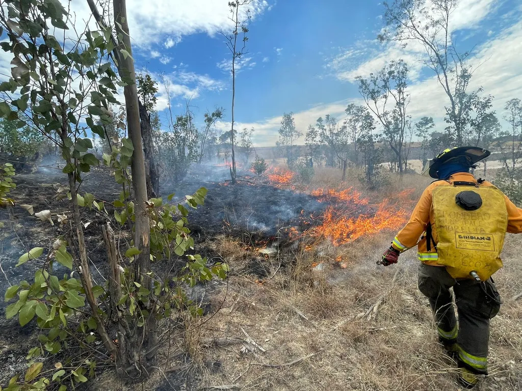 Protección Civil y Bomberos de Morelia combaten incendios en la ciudad