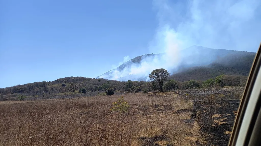 Se reactiva el incendio forestal en el Cerro del Águila