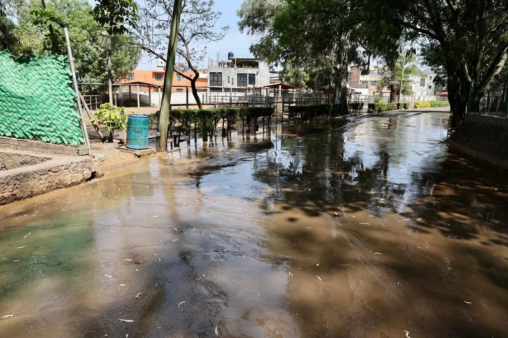Alertan sobre el peligro para los animales del Zoo por agua contaminada vertida por el OOAPAS