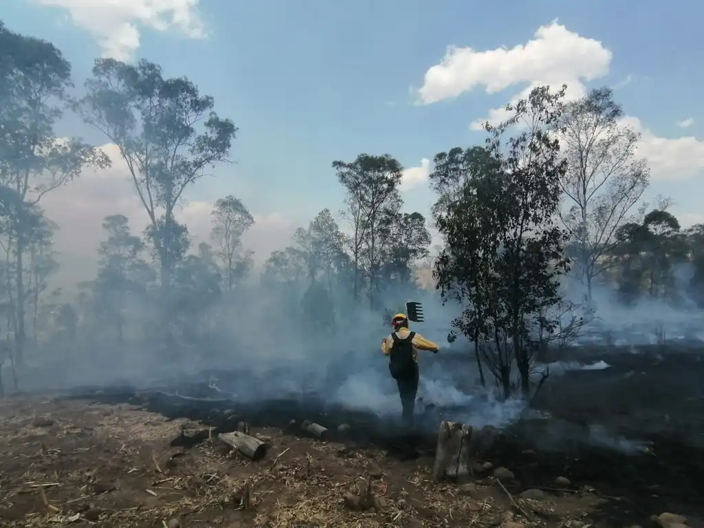 Controlado el incendio forestal registrado en Coalcomán