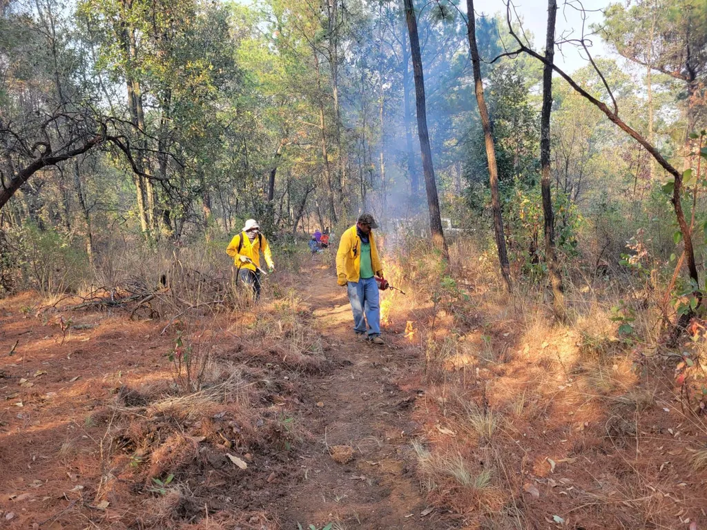 Controlan el incendio forestal en la Reserva de la Monarca