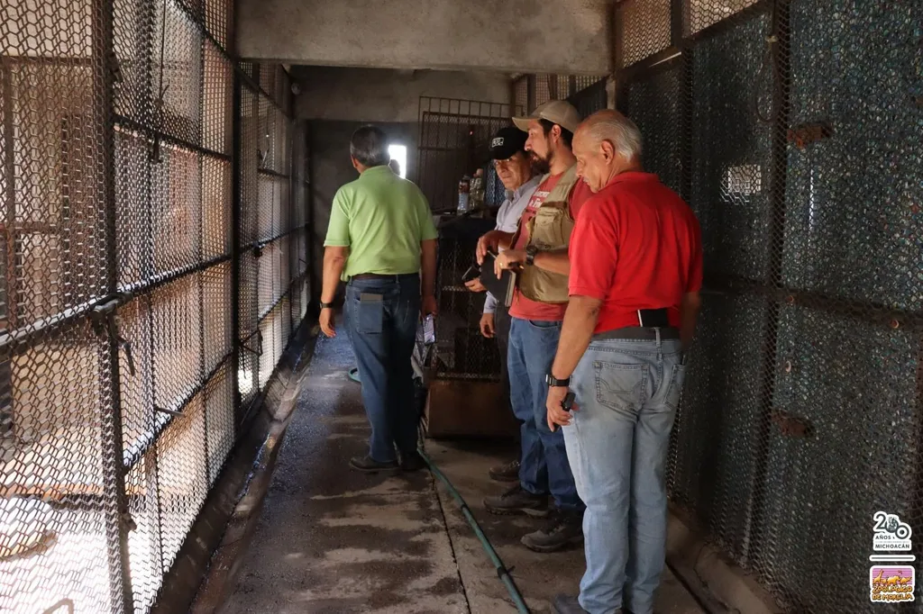 FGE, Profepa y Coepris revisan afectaciones del OOAPAS en el Zoo de Morelia