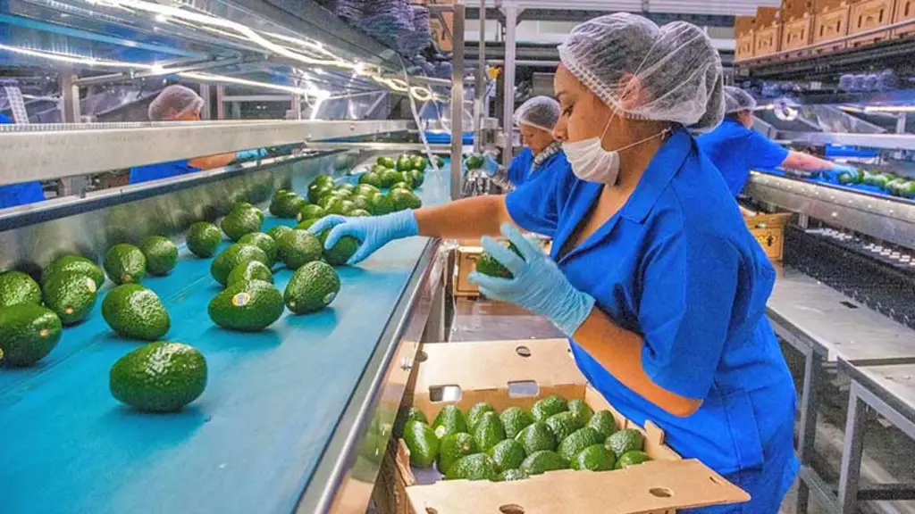 Michoacán, de norte a sur