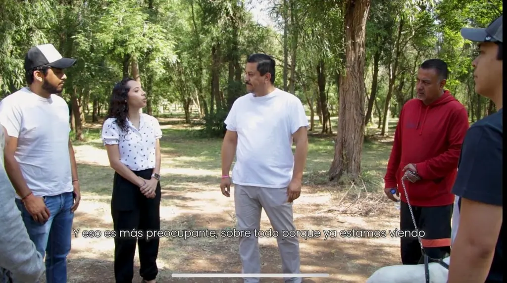 Que se tipifique como delito grave el provocar incendios forestales