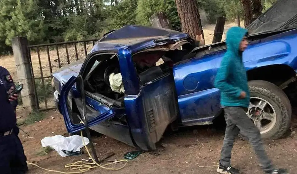 Un muerto y un herido por choque de pick up contra un árbol