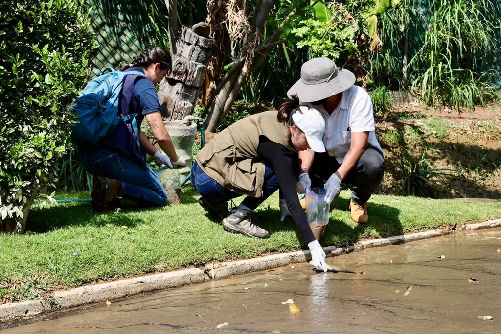 agua y lodo vertidos por el OOAPAS podrían tener hierro y azufre