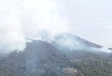 Brigadistas combaten incendio forestal en Pátzcuaro