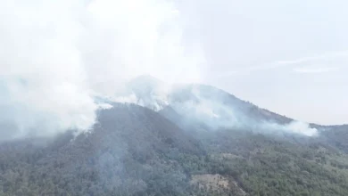 Brigadistas combaten incendio forestal en Pátzcuaro
