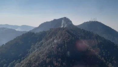 Controlaron el incendio forestal en el Cerro Burro de Pátzcuaro