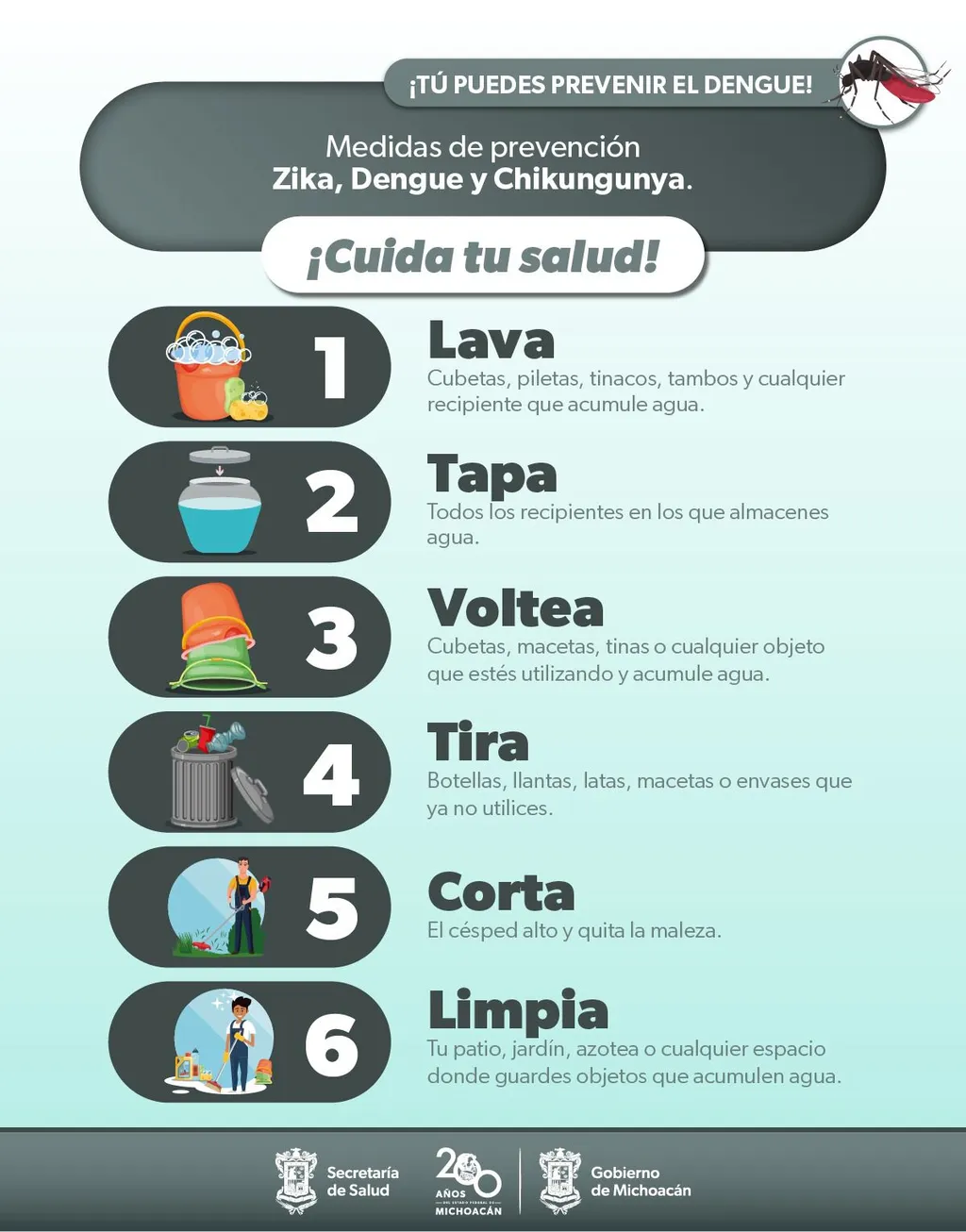 Es sencillo prever la propagación del mosquito del dengue
