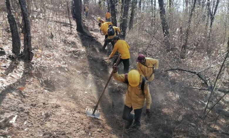 Helicóptero ayuda en incendio forestal en Pátzcuaro