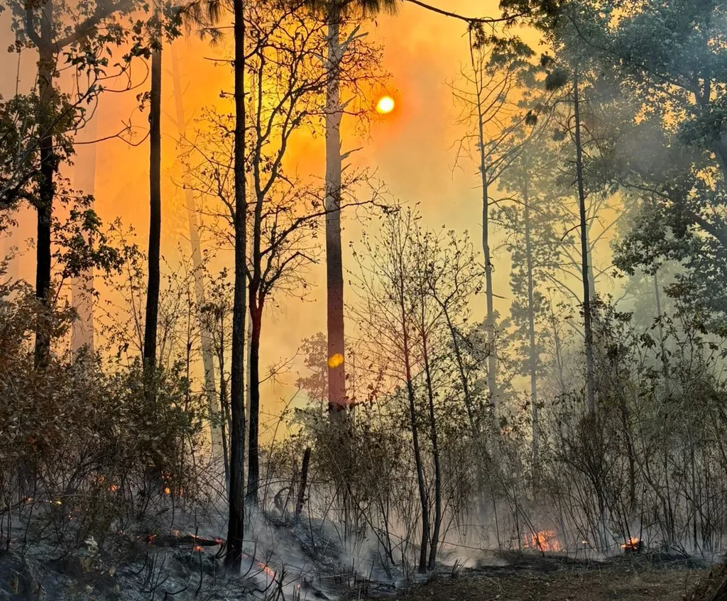 Llevan más de doce horas combatiendo feroz incendio en Uruapan