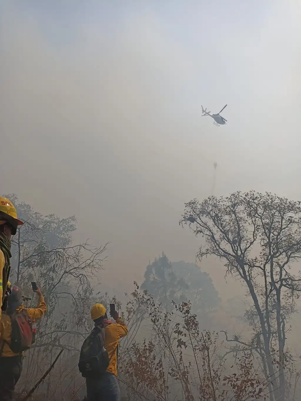 Logran contener un 80 % el incendio forestal en Uruapan
