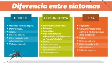Los síntomas que diferencian el dengue, zika y chikungunya