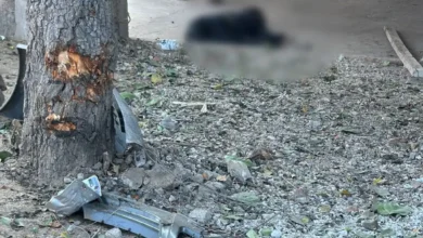 Muere mujer al ser atropellada mientras esperaba el camión