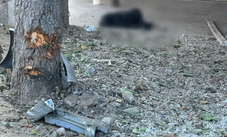 Muere mujer al ser atropellada mientras esperaba el camión