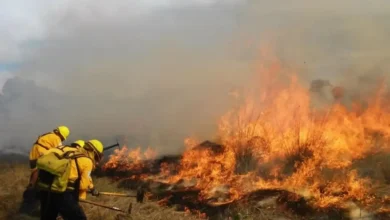Murió una brigadista mientras apagaba incendio en Tuxpan
