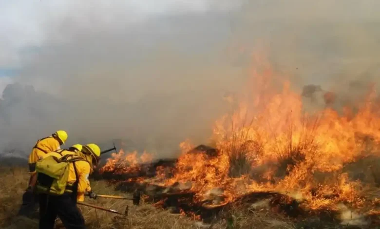 Murió una brigadista mientras apagaba incendio en Tuxpan