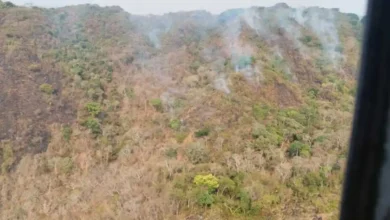 Se suma helicóptero para sofocar incendio forestal en Lázaro Cárdenas