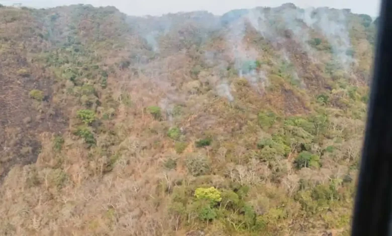 Se suma helicóptero para sofocar incendio forestal en Lázaro Cárdenas