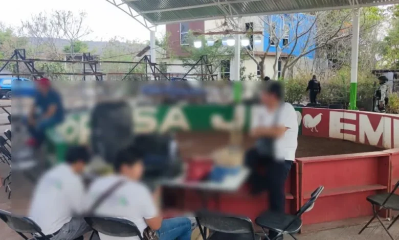Agentes federales, estatales y municipales clausuraron un palenque clandestino en Benito Juárez