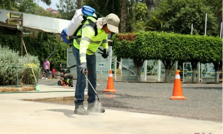 Aplican producto nanotecnológico en el piso para purificar el aire de la ciudad
