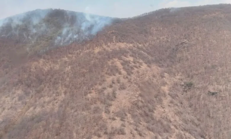 Atienden incendio forestal en Cerro Verde, en Morelia