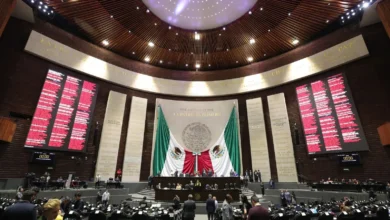 diputados