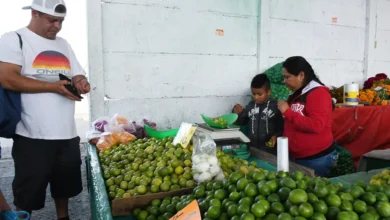 El kilo de limón registra el costo más bajo del año