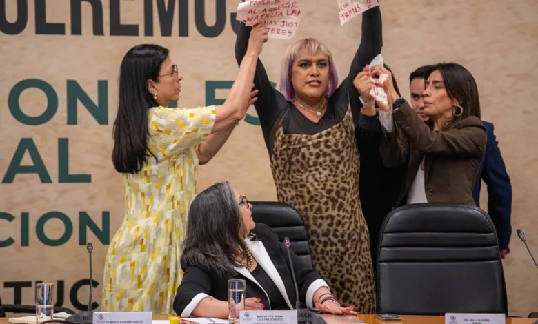 El poder perjudicial y sus reformitas a modo