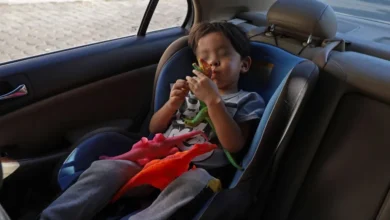 NIños, abuelitos y mascotas no deben quedarse en los coches en este calor