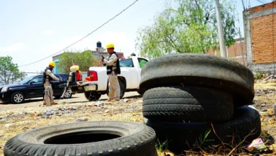 Refuerza desde casa la estrategia para prevenir el dengue