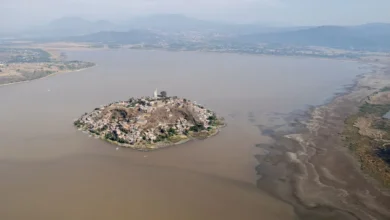 Sembrarán 1.5 millones de árboles para salvar el lago de Pátzcuaro