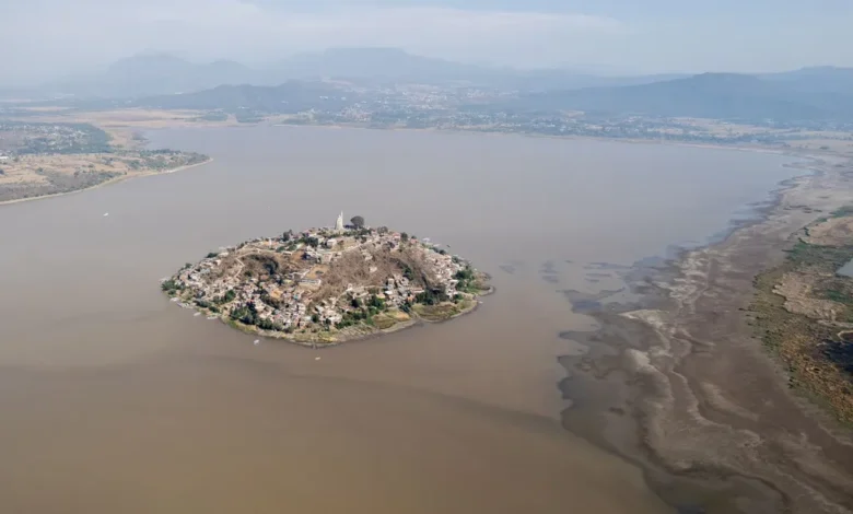 Sembrarán 1.5 millones de árboles para salvar el lago de Pátzcuaro