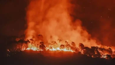 Solicita el gobernador aplicar Plan DN-III-E para apagar incendio forestal en Uruapan