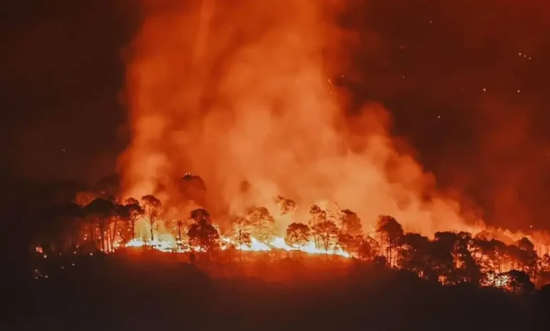 Solicita el gobernador aplicar Plan DN-III-E para apagar incendio forestal en Uruapan